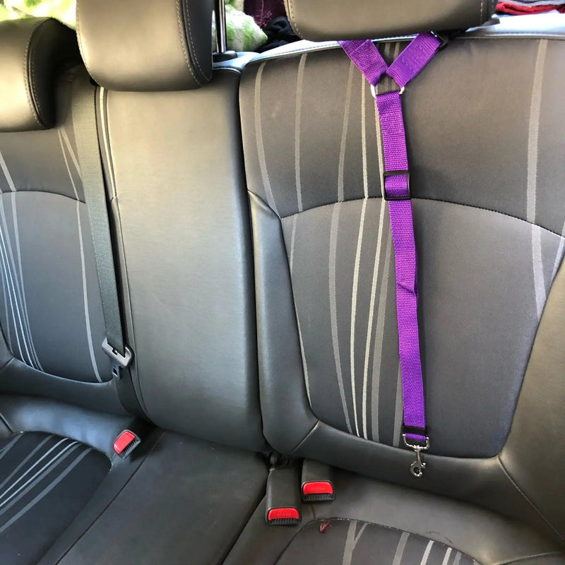 Mantenha seu animal de estimação seguro no carro com o cinto de segurança em nylon. Ajustável para cães de todos os tamanhos, pode ser usado como alça ou cinto no banco traseiro. Essencial para viagens, oferece praticidade e proteção ao seu companheiro